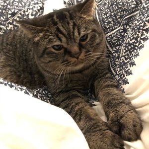 Meet your Posher, Mandy